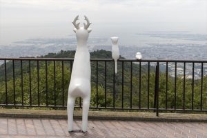 Rokko Meets Art