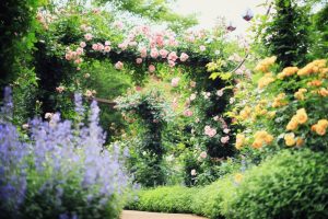 Jardin des plantes de Nunobiki