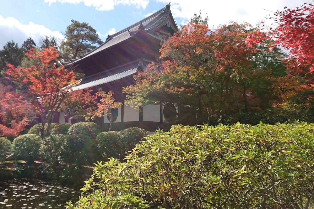 wasakura - wa-sakura - wa sakura - japon - tourisme - voyage - traditionnel - okayama - temple - iyama - hofukuji - hôfukuji - hōfukuji - hofuku-ji - hôfuku-ji - hōfuku-ji