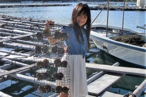 L'extraction de perle à Shinju no Sato