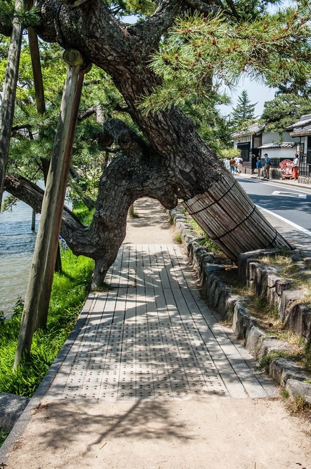 Matsue rue shiomi Nawate samourai Shimane Japon tourisme hors des sentiers battus