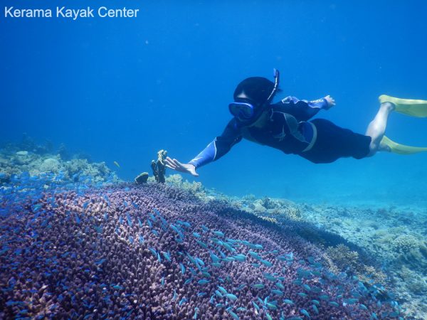 Japon Okinawa Kerama Tourisme Corail plongée snorkeling plage tortue corail kayak
