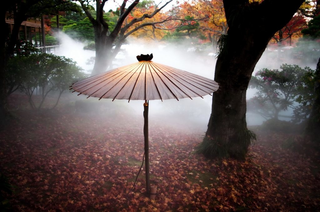 matsue shimane daikonshima yuushien yûshien pivoine jardin japonais botan bonsai pins art traditionnel contemporain cuisine japonaise momiji érable illuminations brume voyage tourisme japon