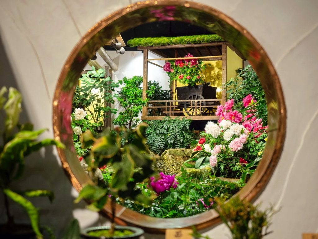 matsue shimane daikonshima yuushien yûshien pivoine jardin japonais botan bonsai pins art traditionnel contemporain cuisine japonaise momiji érable illuminations brume voyage tourisme japon