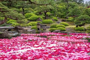 Le jardin japonais Yuushien