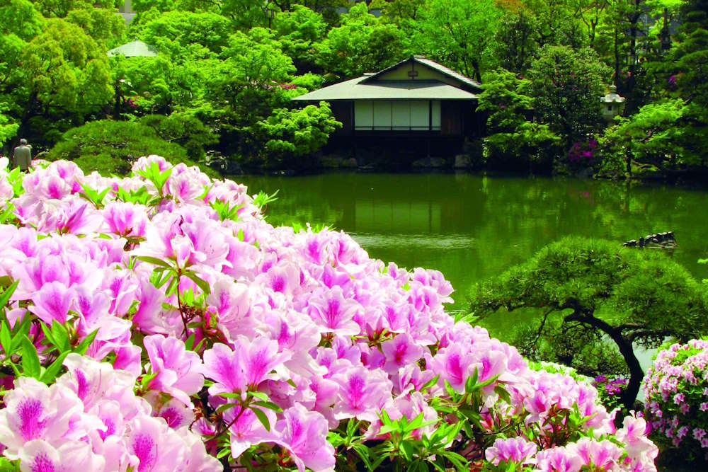 wasakura - wa-sakura - wa sakura - japon - tourisme - voyage - kobe - kōbe - jardin japonais - traditionnel - sorakuen - sōrakuen