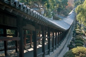 sanctuaire shinto kibitsu okayama japon cérémonie traditionnelle hortensias momotaro pêche torii nature histoire voyage tourisme japon