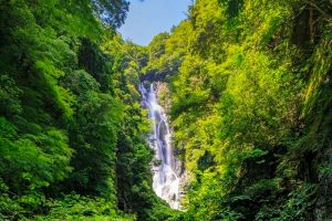 La cascade de Kanba et ses singes sauvages