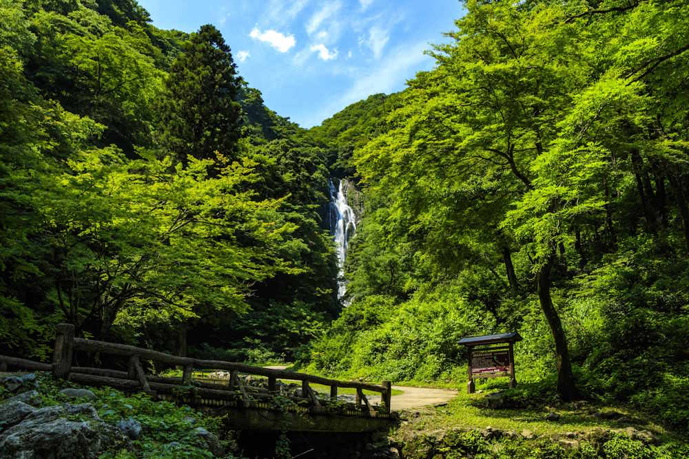 wasakura - wa-sakura - wa sakura - japon - tourisme - voyage - okayama - maniwa - cascade - kanba