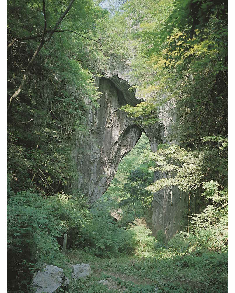 wasakura - wa-sakura -wa sakura - japon - tourisme - voyage - monument naturel national - rashomon - rashōmon