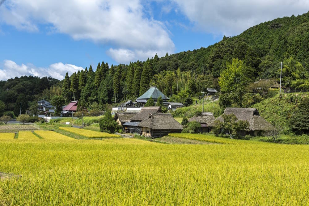 wa sakura - japon - tourisme - voyage - okayama - bizen - campagne japonaise - villa internationale hattoji