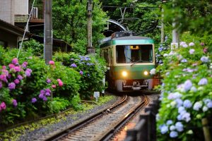 Eno-den : Petit train nostalgique et pittoresque