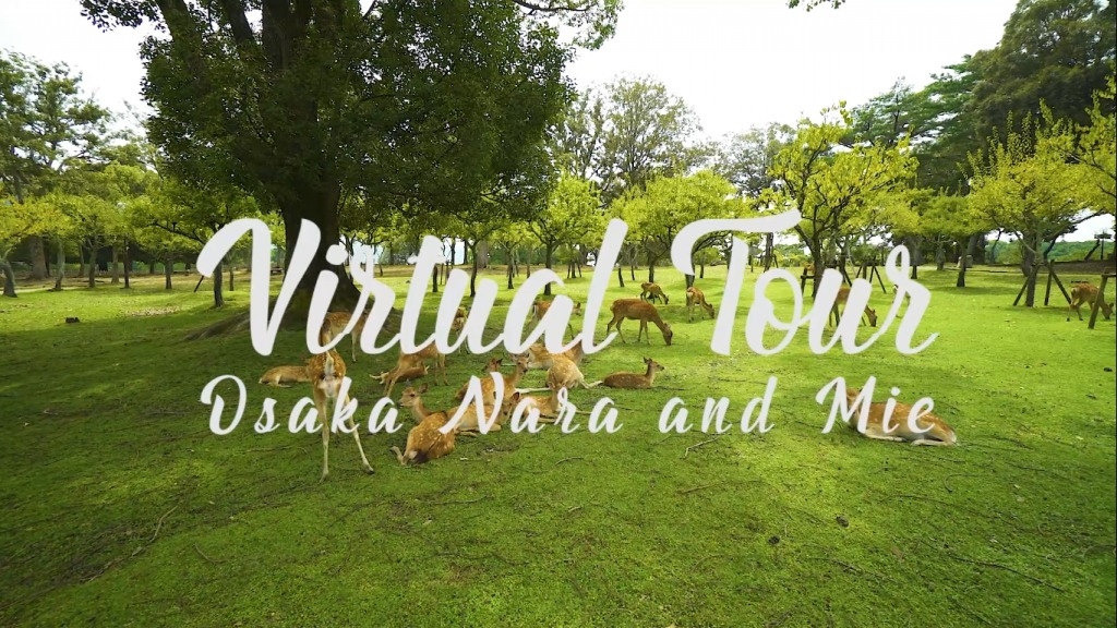 Virtual Tour Casual