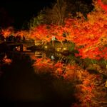 Contempler les couleurs d'automne dans la préfecture de Mie