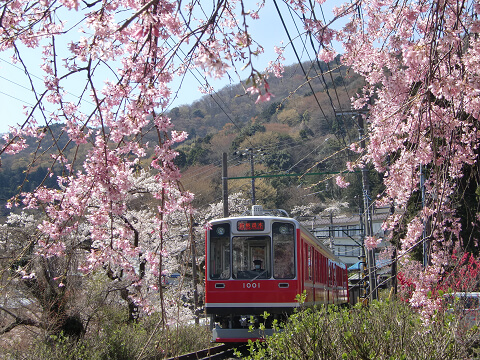 Train de montagne Hakone Tozan