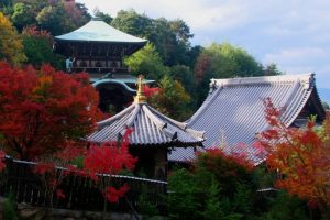Le Daishō-in