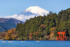 Hakone en automne : un contraste saisissant avec le Mont Fuji