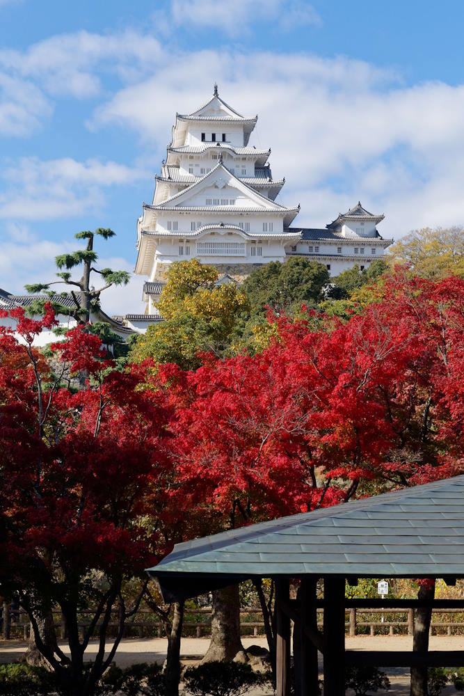 wasakura - wa-sakura - wa sakura - japon - tourisme - voyage - himeji - château de himeji - chateau de himeji - château d'himeji - chateau d'himeji
