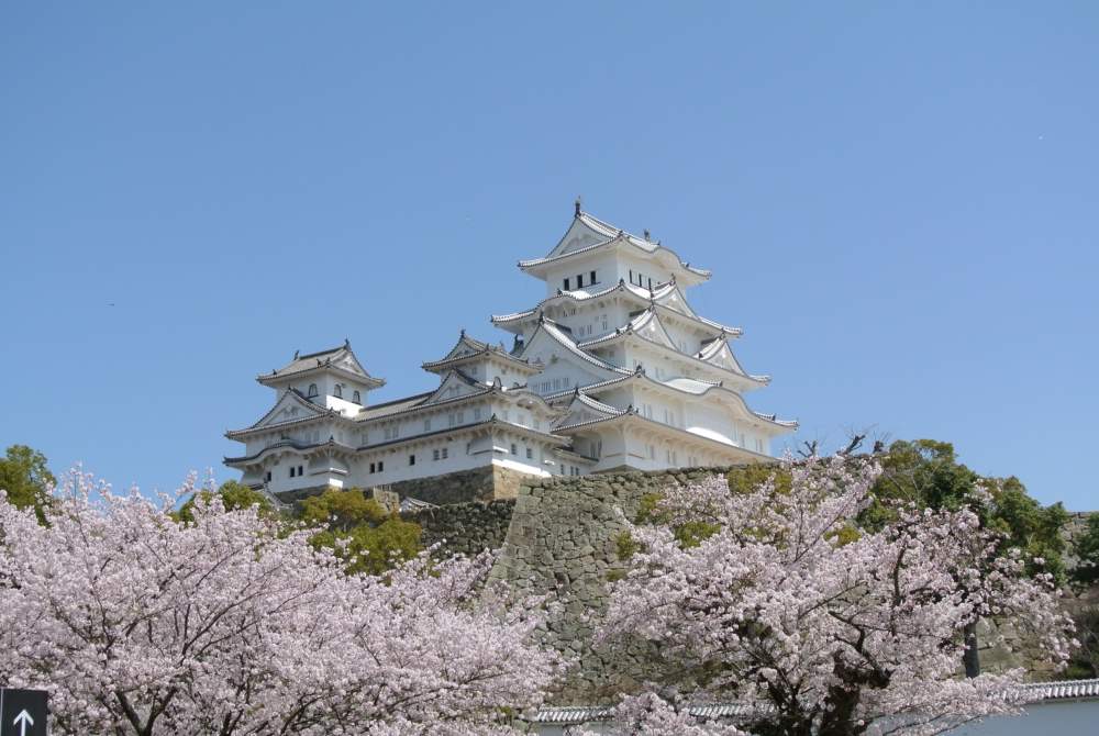 Wasakura - Voyage - Japon - Région - Hyogo - Cerisiers - Fleurs - Sakura - Château - Himeji 9