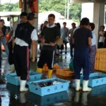 Vente aux enchères de poisson sur l'île de Toshi