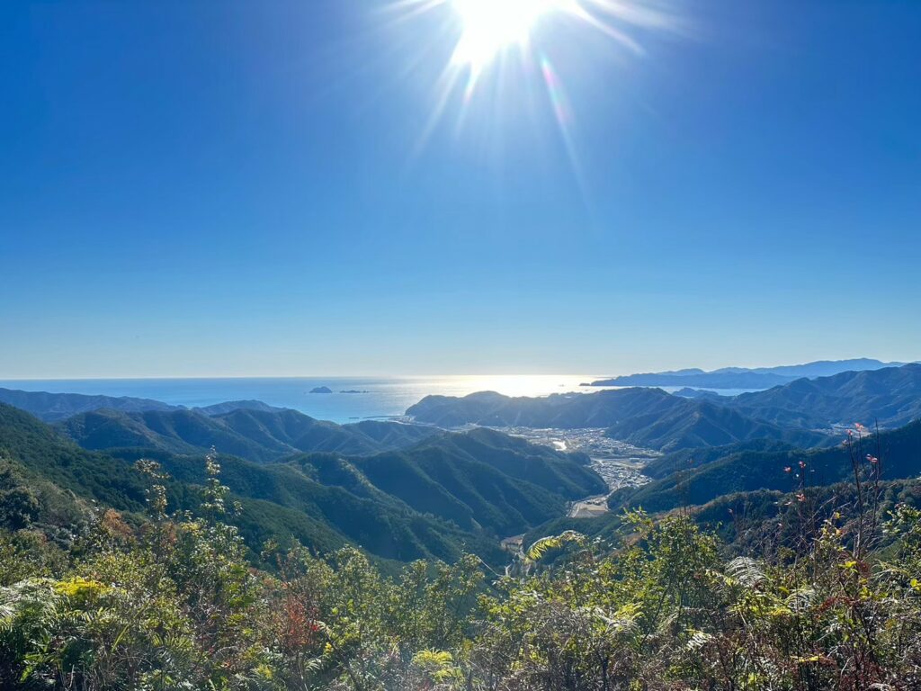 wa sakura - mie - taiki