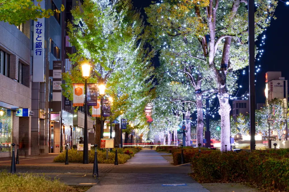 Wa-Sakura_Japon_Himeji_Illumination_Evenement_2