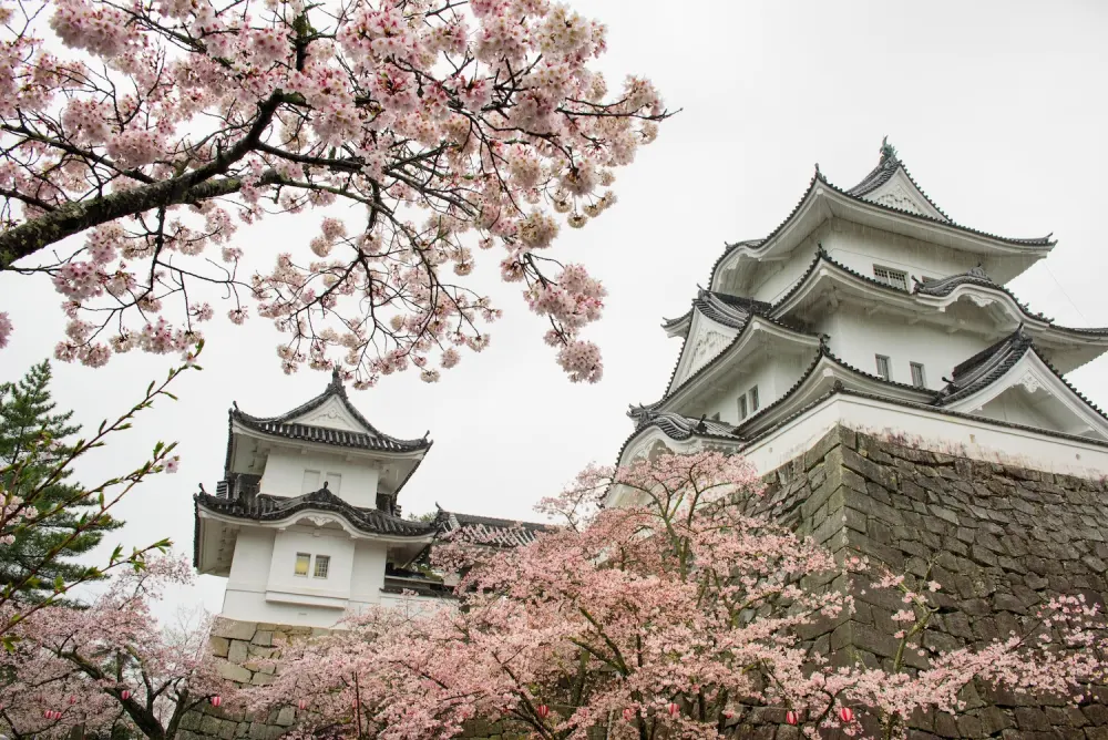 Wa Sakura_Japon_Voyage_Mie_Akame_Iga_Itineraire_2_Jours_8